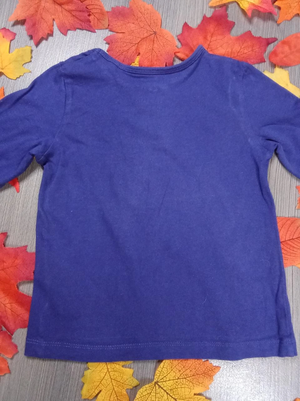 Lote de 2 t-shirts Lupilu 3-4 anos – photo 7